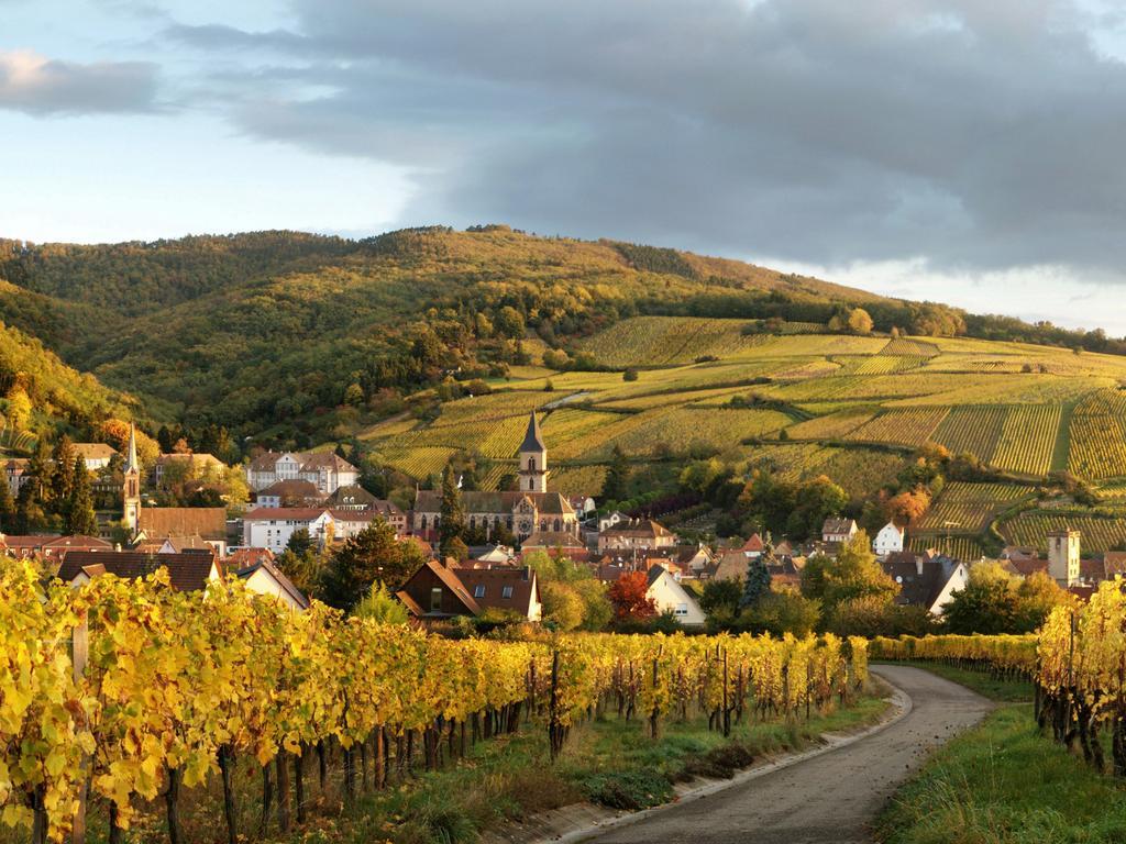 Gîte Au Coeur De Ribeauvillé Esterno foto